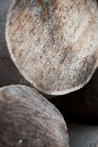 Close-up of the woodpile