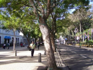 Funchal on 23 Feb - recovering in the sunshine