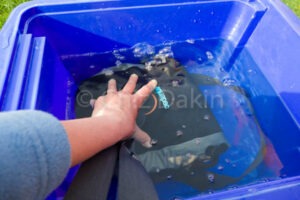 Sinking the Aquapac SLR storm pouch